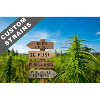 Fantasy Marijuana Farm Poster w Custom Strains